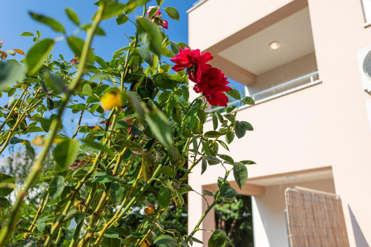 Apartments Crnekovic V バスカ エクステリア 写真